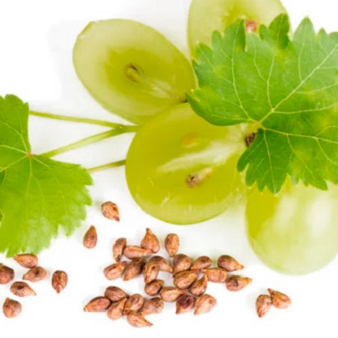 pepin-raisin_carre